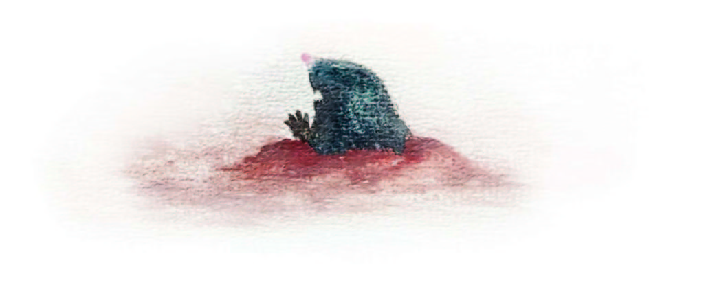 mole