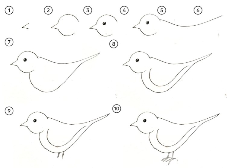 How the 'Big Garden Birdwatch' can get the kids drawing ⋆ Sarah Parkinson